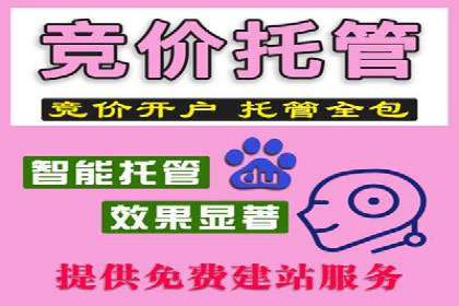 SEM运营公司案例研究：提升转化率